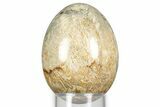 Polished Oligocene Fossil Coral Egg - Philippines #356296-1